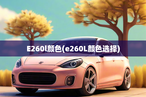 E260l颜色(e260L颜色选择)