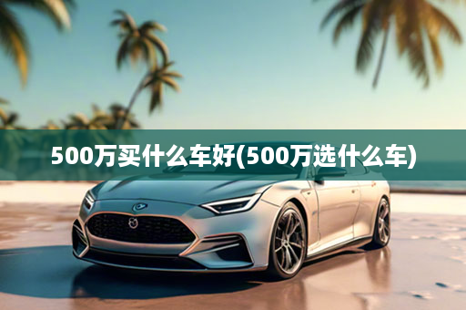 500万买什么车好(500万选什么车)