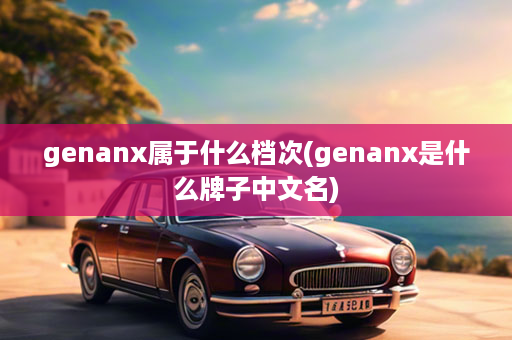 genanx属于什么档次(genanx是什么牌子中文名)