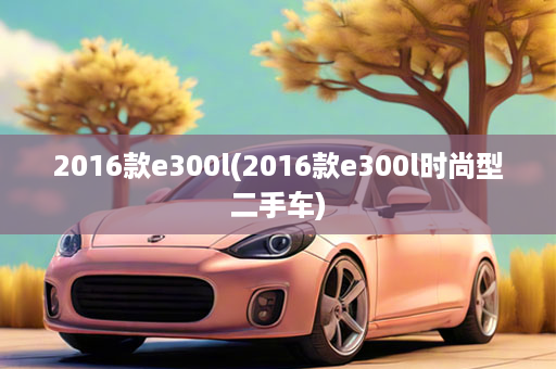 2016款e300l(2016款e300l时尚型二手车)