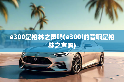 e300是柏林之声吗(e300l的音响是柏林之声吗)