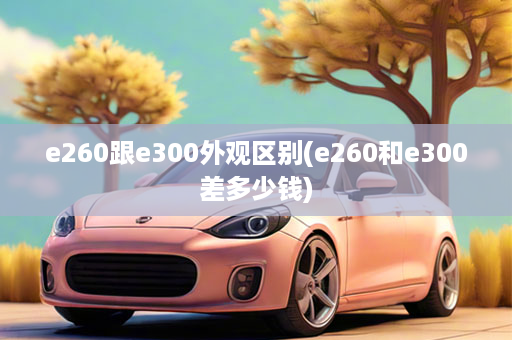 e260跟e300外观区别(e260和e300差多少钱)