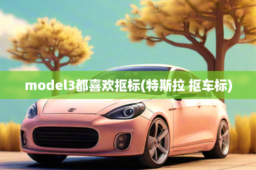 model3都喜欢抠标(特斯拉 抠车标)