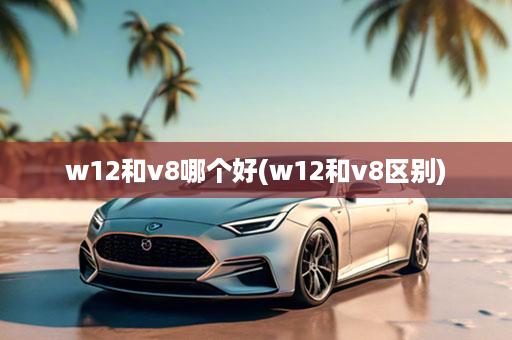 w12和v8哪个好(w12和v8区别)