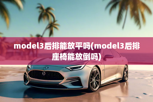 model3后排能放平吗(model3后排座椅能放倒吗)