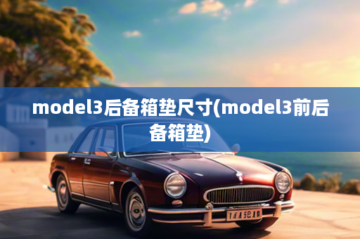 model3后备箱垫尺寸(model3前后备箱垫)