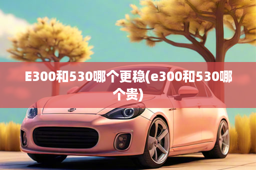 E300和530哪个更稳(e300和530哪个贵)