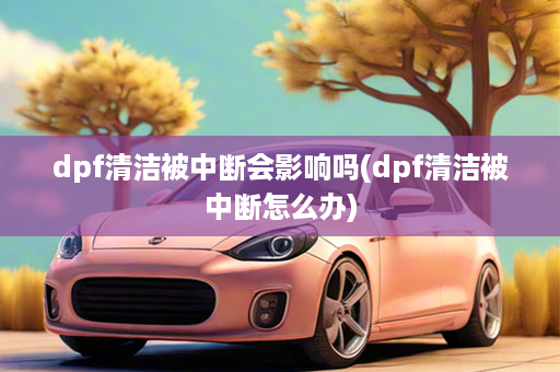 dpf清洁被中断会影响吗(dpf清洁被中断怎么办)