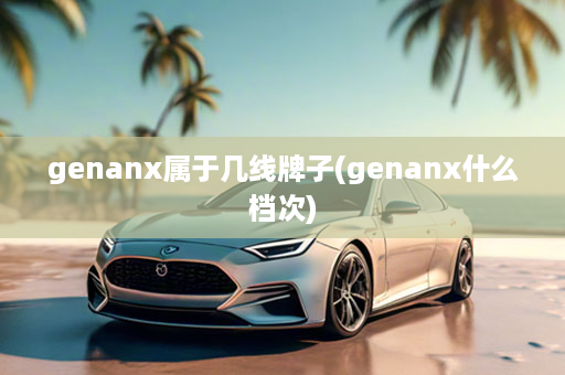 genanx属于几线牌子(genanx什么档次)