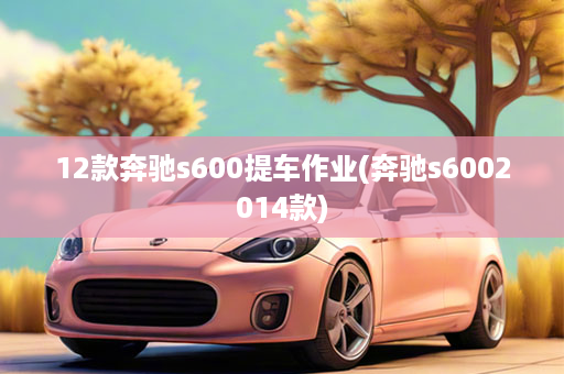 12款奔驰s600提车作业(奔驰s6002014款)