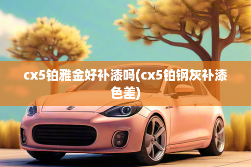 cx5铂雅金好补漆吗(cx5铂钢灰补漆色差)