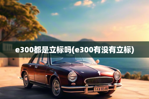 e300都是立标吗(e300有没有立标)