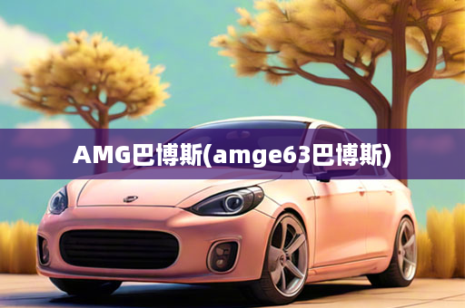 AMG巴博斯(amge63巴博斯)