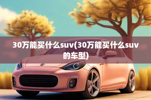 30万能买什么suv(30万能买什么suv的车型)