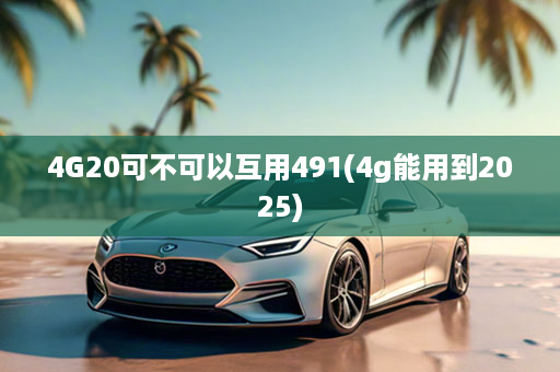 4G20可不可以互用491(4g能用到2025)