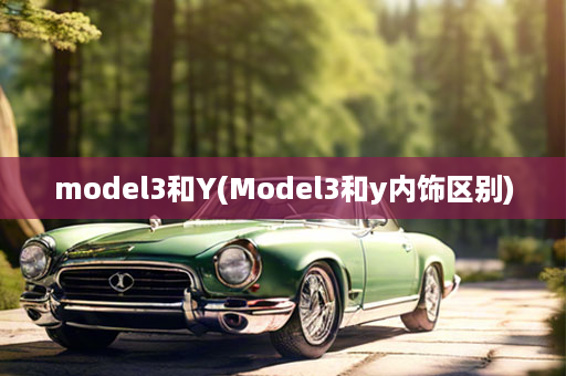 model3和Y(Model3和y内饰区别)