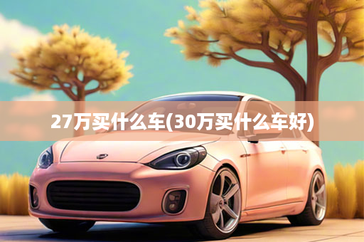 27万买什么车(30万买什么车好)