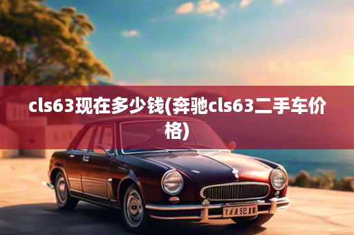 cls63现在多少钱(奔驰cls63二手车价格)