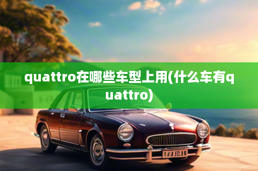 quattro在哪些车型上用(什么车有quattro)