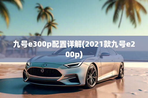 九号e300p配置详解(2021款九号e200p)