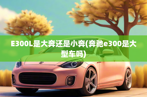 E300L是大奔还是小奔(奔驰e300是大型车吗)