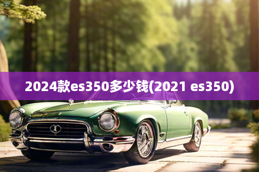 2024款es350多少钱(2021 es350)