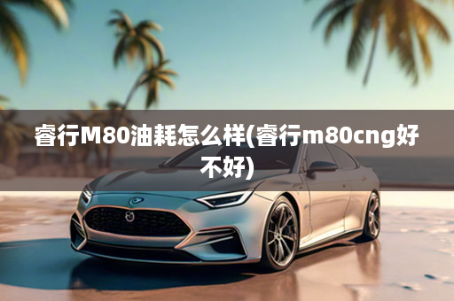 睿行M80油耗怎么样(睿行m80cng好不好)