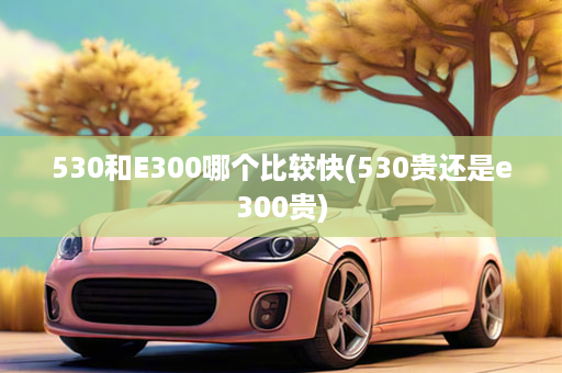 530和E300哪个比较快(530贵还是e300贵)