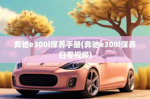 奔驰e300l保养手册(奔驰e300l保养归零视频)