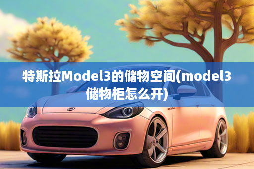 特斯拉Model3的储物空间(model3储物柜怎么开)