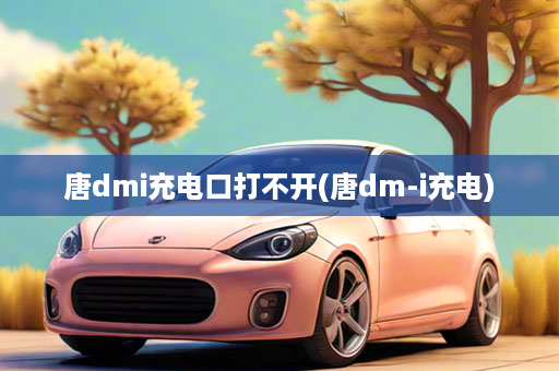 唐dmi充电口打不开(唐dm-i充电)