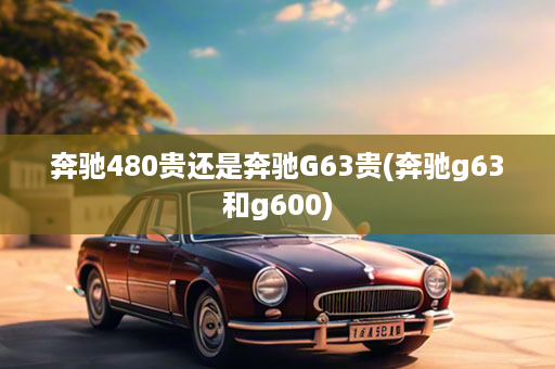 奔驰480贵还是奔驰G63贵(奔驰g63和g600)