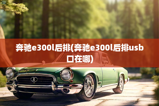 奔驰e300l后排(奔驰e300l后排usb口在哪)