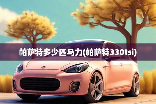 帕萨特多少匹马力(帕萨特330tsi)