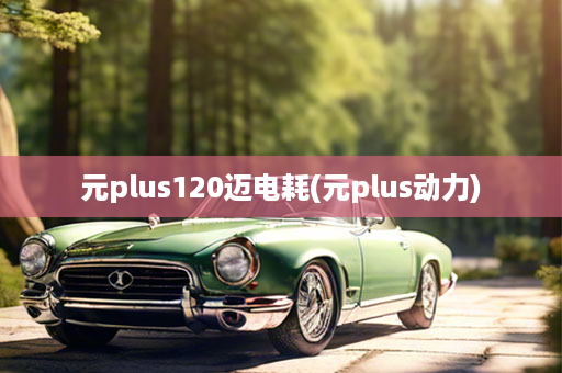 元plus120迈电耗(元plus动力)