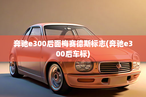 奔驰e300后面梅赛德斯标志(奔驰e300后车标)