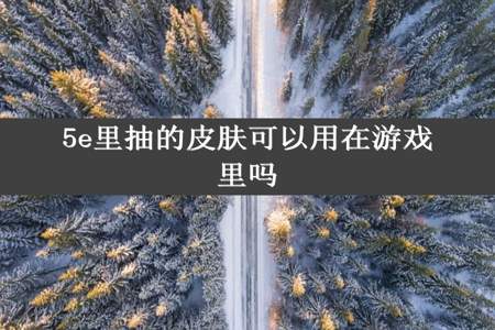 5e里抽的皮肤可以用在游戏里吗