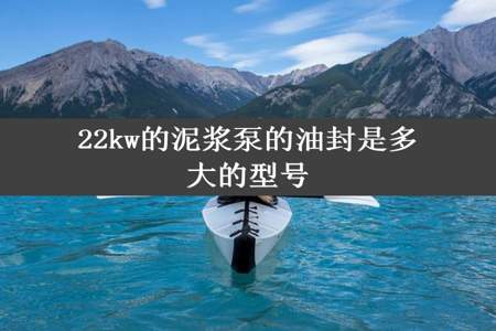 22kw的泥浆泵的油封是多大的型号