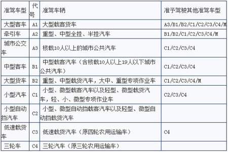 C1驾照考试流程