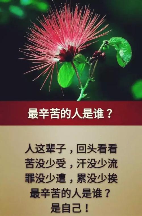 人这一辈子说话的次数是