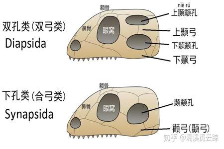 学好文件抓好纲的纲是什么意思