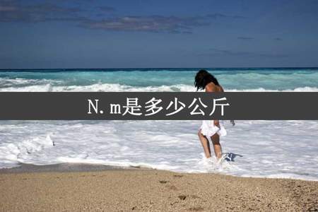 N.m是多少公斤