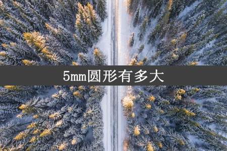 5mm圆形有多大