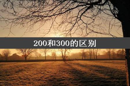 200和300的区别