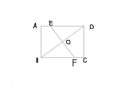 正方形的对角线会平分哪些角