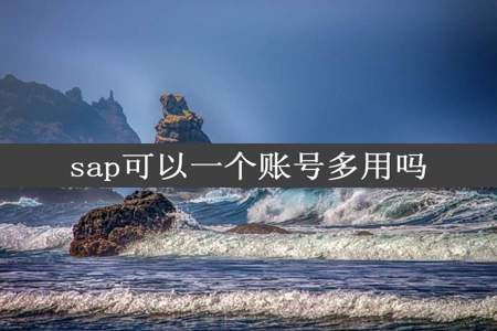 sap可以一个账号多用吗