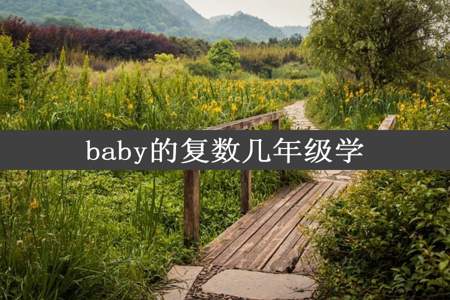 baby的复数几年级学