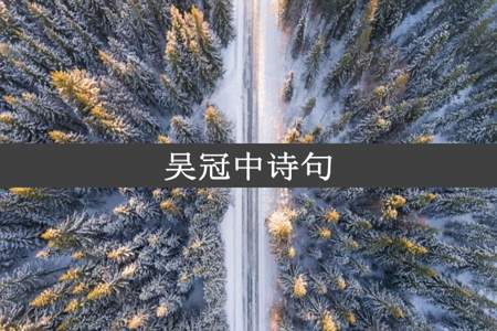 吴冠中诗句