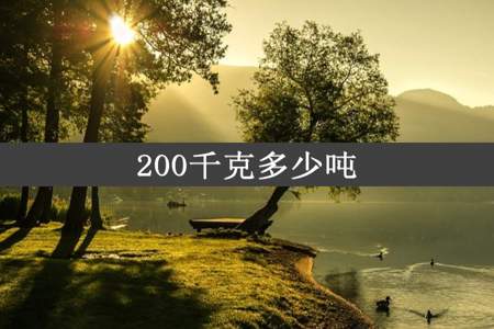 200千克多少吨