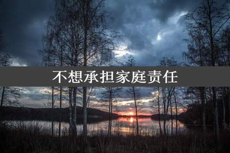 不想承担家庭责任